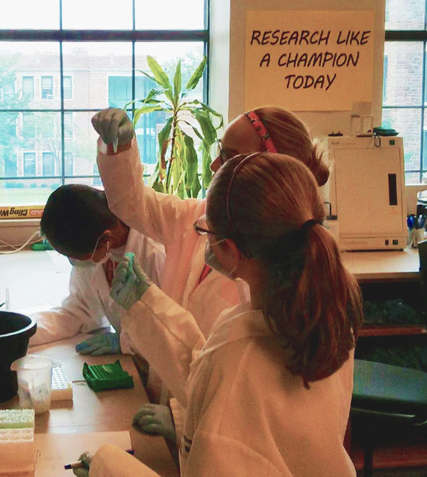 Participants experimenting in the Girls In Science Research Program