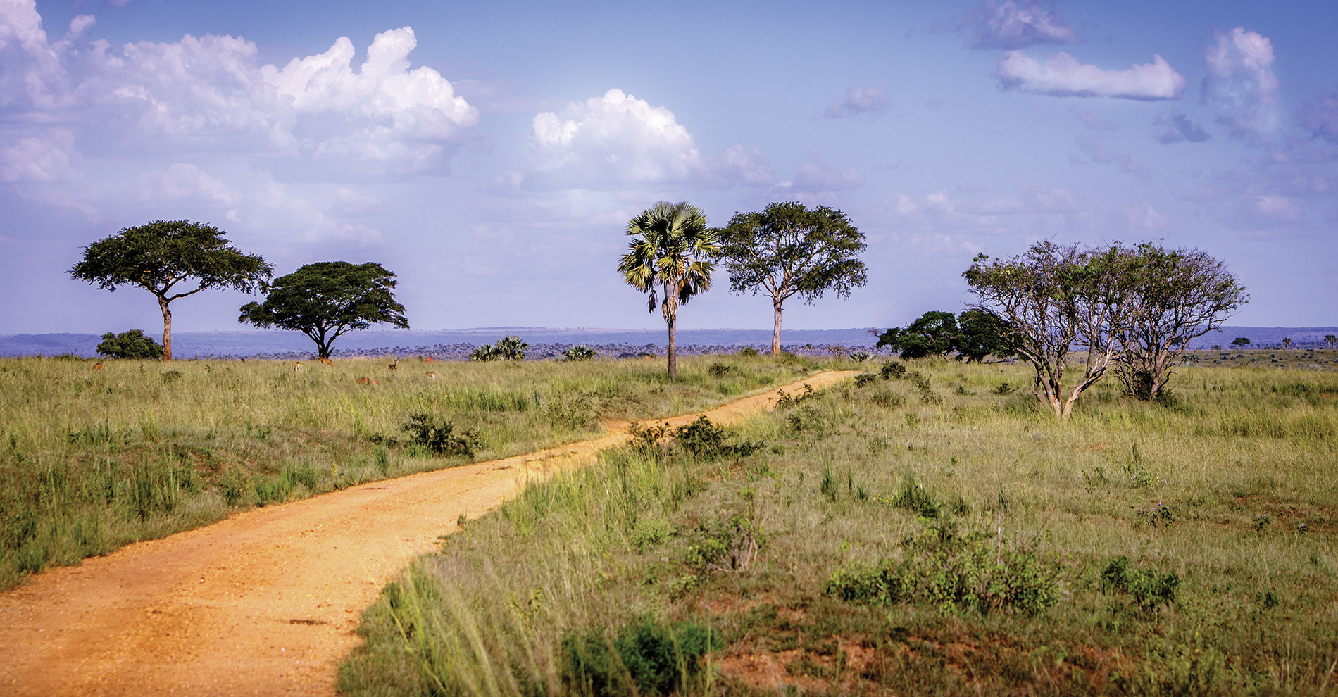 A red dirt road in Gulu, Uganda. 