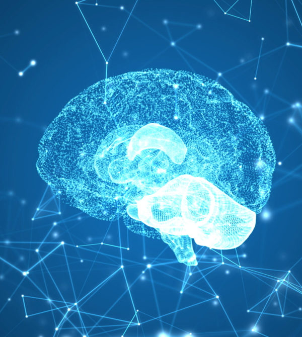 Image of a brain and synapses