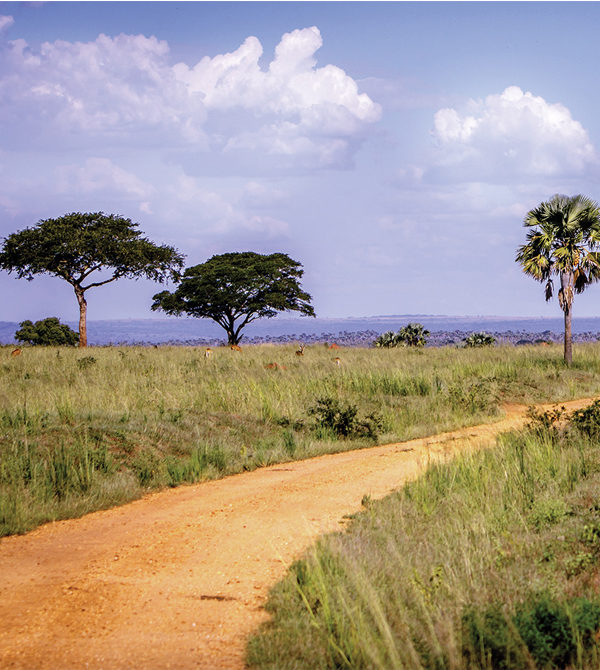 A red dirt road in Gulu, Uganda