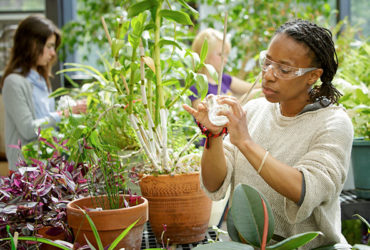Biology student conducting experiment in greenhouse.
